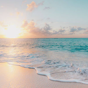 Meet your Posher, Cassandra